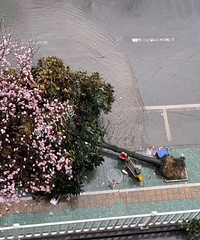 1死3伤!今早衢州一凉亭因刮风下雨倒塌,4人在此避雨被压