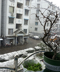 【红黄蓝孕妈日记】之你喜欢下雪吗?