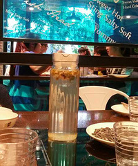 美食狗仔队一队——团聚胖子鱼头