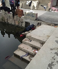 太可怜了 老太太早起念佛竟掉入河中死亡
