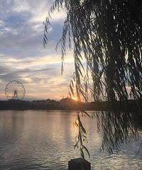 ������ʺϴ��յ���