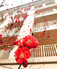 ��������ٺ����