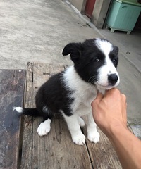 5.1�����ؼ۳���600