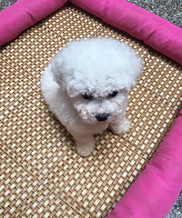 С���ܳ���