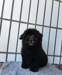 ������̩�Ϻ�̩�ϳ���