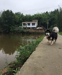 ���ͺ�ʮ�ְ���˹�ӳ���