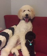 ̩��plus����������