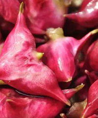 绍兴特产TOP10:鉴湖菱