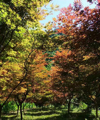 绍兴景点TOP5:五洩风景区