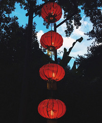 绍兴景点TOP3:沈园