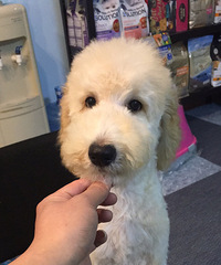 ���͹������������