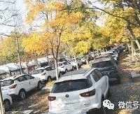 公园里突然停了很多新车 原来是4s店干的