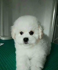 ������ֳ���ܺ�̩�ϱ��˳���