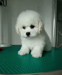 ������ֳ���ܺ�̩�ϱ��˳���