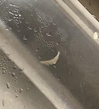 这学校的食堂已经这样了么??