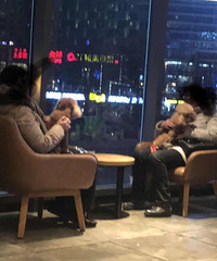 在星巴克遇到两个带狗的客人