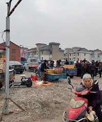 安昌活禽市场越来越红火了!