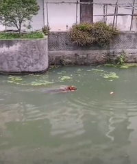 ��û�����ĳ���Ҫ�������ӵģ������ë����