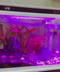 ����ɵ���Ʒ__�����������ˣ�