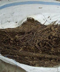 [��ʳ]�������� Ҫ��һ����ݺ�Ŷ