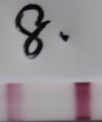 "好孕了,给老公精子不好的姐妹们一点信心,接棒吧"