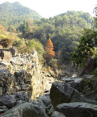 11.12.18临海桐坑-红杉林小穿越