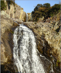 11.12.18临海桐坑-红杉林小穿越