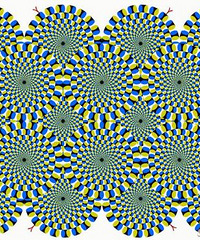 ��˵�����͵�������Ĥ�ܲ�