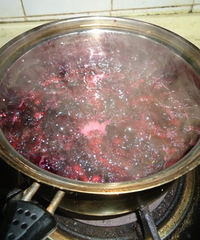 "用坑爹的桑果做的桑果汁 制作过程详细 颜色可人 味道清甜"