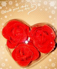 (�����ռǣ�19¥��Ե�֣�����ǰ�С����ﵽŮ�͵�����ȫ��д��