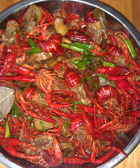 �����޳����ˣ��㱬��Ϻ��