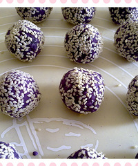 [����ϵ�̨��]���������֮������֥��������