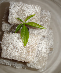 ������ϵ�̨�ݡ����չ���� ֮һ-----�̶�ɳ����