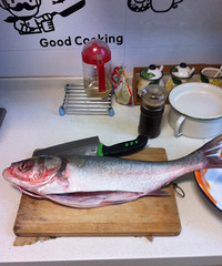 �����ܸɵ�Сϱ�����������