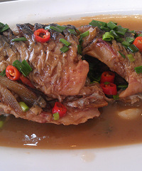 Ϊ�Զ�ս�������ԭ��Ҳ�����������