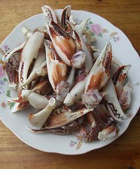 �����ｭɽ����������зǯ