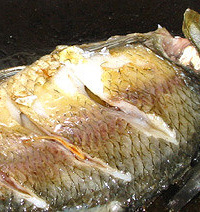 ��������(ȫ�̼�¼ͼ)