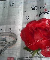 ���ư��ܲ������ֹ�Ŷ