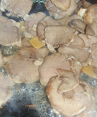 �ҵĳ�����ͷ