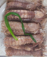 ȥˮ�������С�ƻ�˫�ɺ������