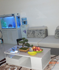 �����Ҽҵľۻ�