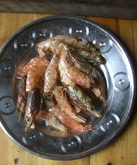 ���ݳ����