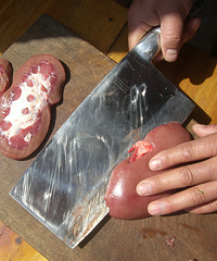 �����ǿյ�ҩ�š�������������