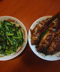 �򵥵�����