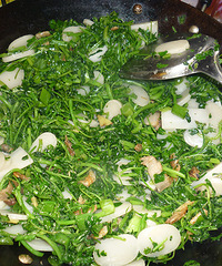 ���ݳ���