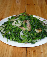 ���ݳ���