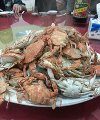 ȥ���㵺��������ȥ����