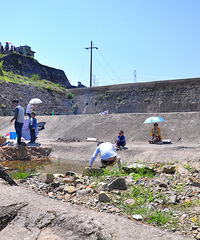 ��һ�տ���ȫ����������