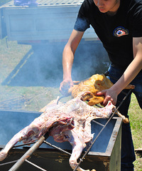 ��һ�տ���ȫ����������