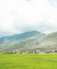 �����ϡ�������������ԭ�������������ѩɽ9����